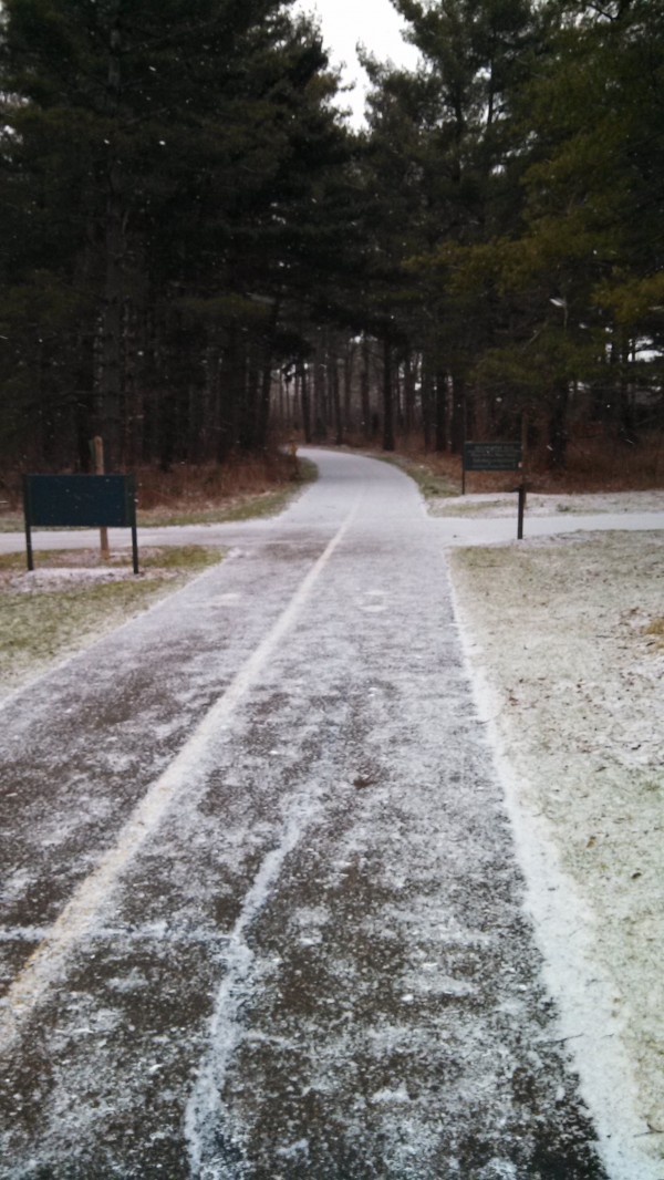 Sharon Woods heading toward the section I call the pine forest. 