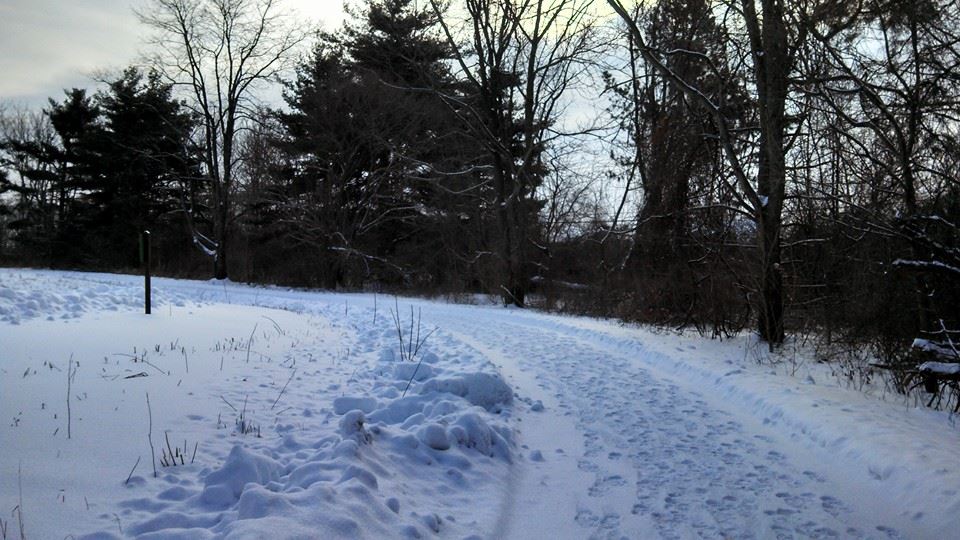 A Slushy Training Walk